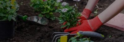retail-garden-banner-1.jpg